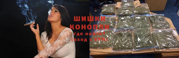 молекула духа Горно-Алтайск