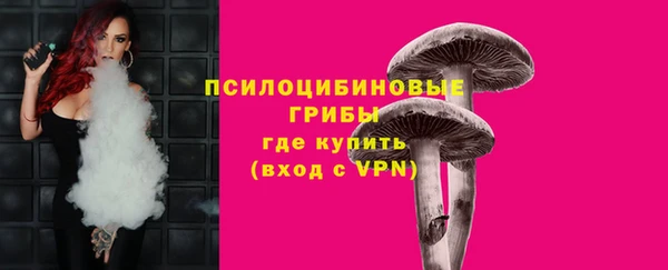 молекула духа Горно-Алтайск