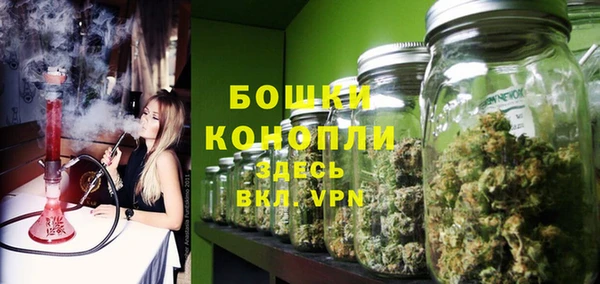 молекула духа Горно-Алтайск